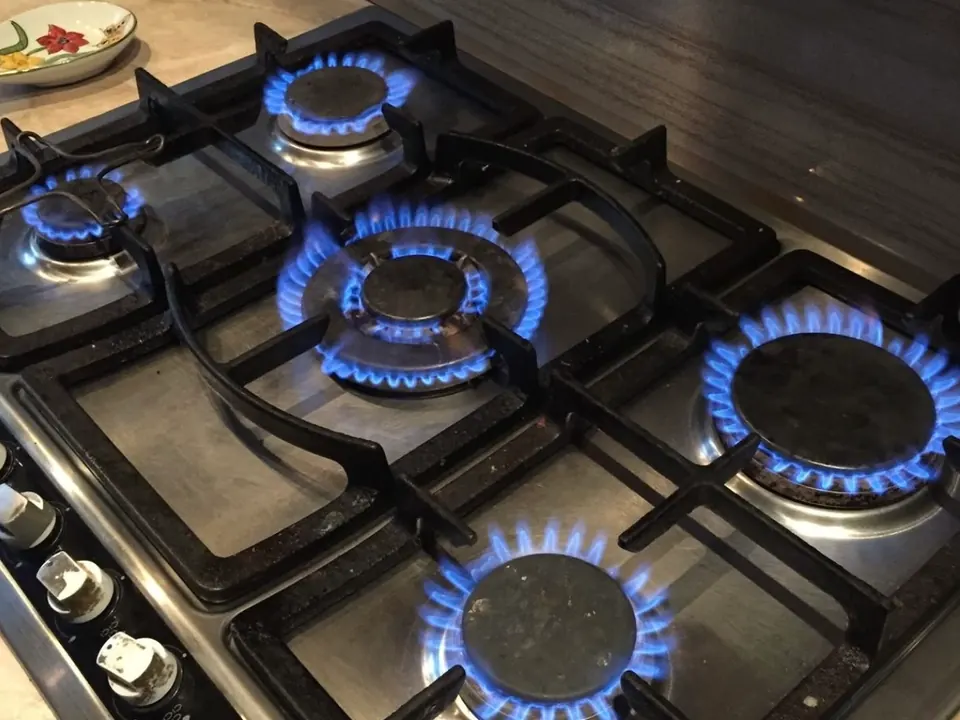 Multi-Burner Flame Check in Mumbai